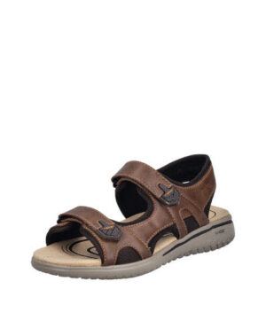 RIEKER 2645522 264 noce/braun