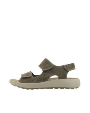 ARA 21507-24 TAUPE
