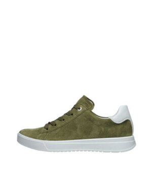ARA 50016-06 HERB,CREAM