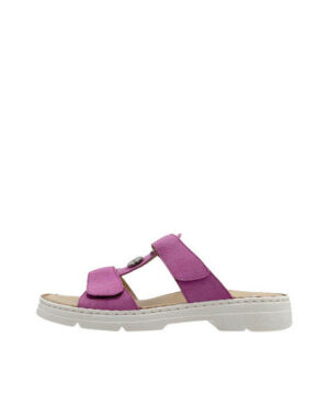 ARA 50305-15 ORCHIDEE