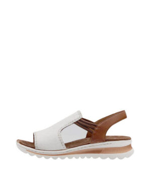 ARA TAMPA TAMPA WEISS,COGNAC