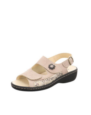 ANWR 1072019 Taupe/beige