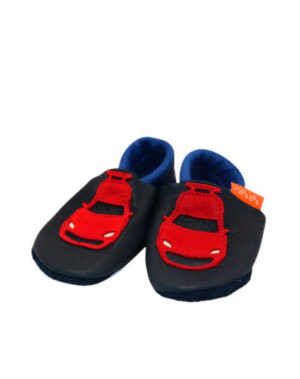 TAP TAP bio e.U. Auto blau/rot