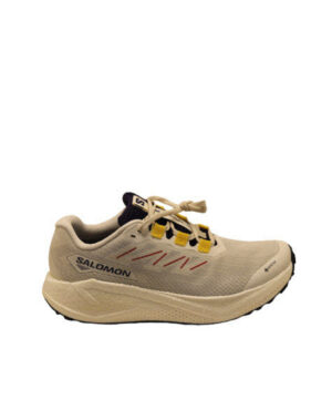 SALOMON Aero Blaze 3 GRVL GTX W Vanila/As