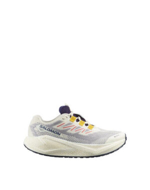SALOMON Aero Blaze 3 GRVL GTX Vanilia Astr