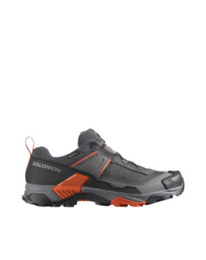 SALOMON X  Ultra 5 GTX Asphalt Clrock