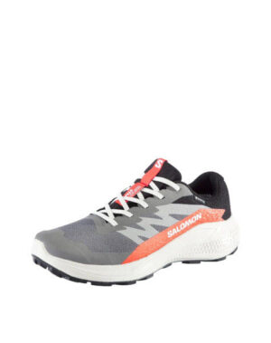 SALOMON Alphaglide GTX Cirock/LunRoc/Cher