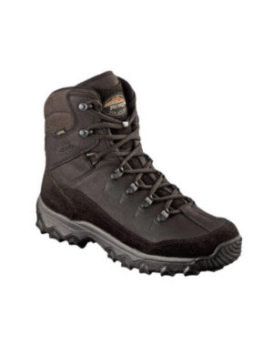 MEINDL Rauris GTX Altloden